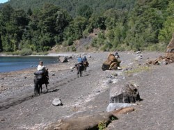 Riding along the beach of lake Caburgua, trailriding in the andes, southern Chile. Über den Strand des Caburgua Sees,  wanderreiten in den chilenischen Anden, bei Pucon
